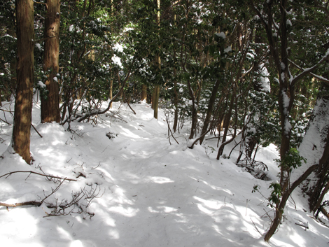 20140211hike (68)